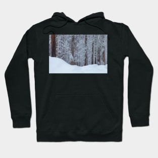 Winter no.2 Hoodie